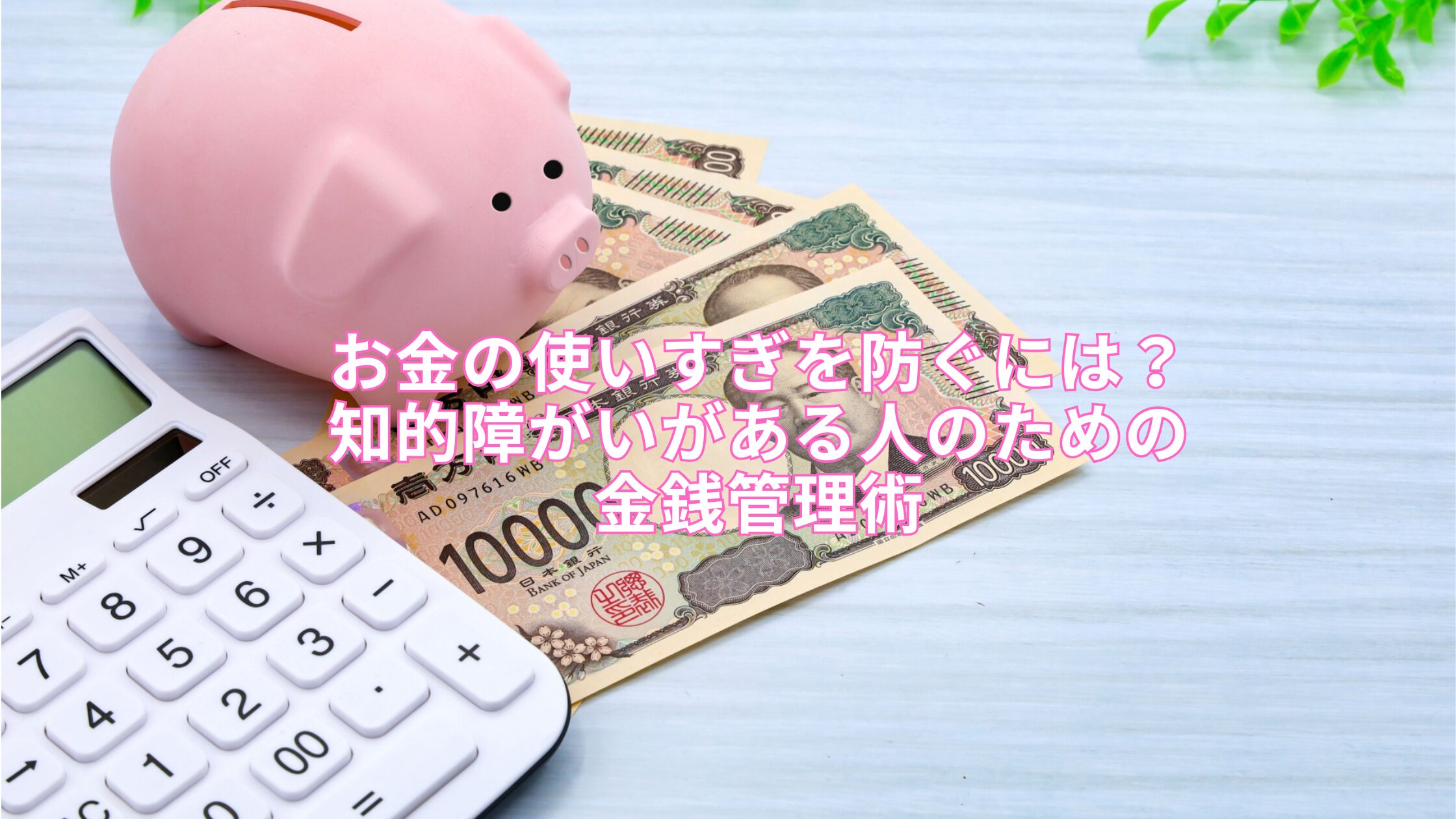 お金の使いすぎを防ぐには？知的障がいがある人のための金銭管理術