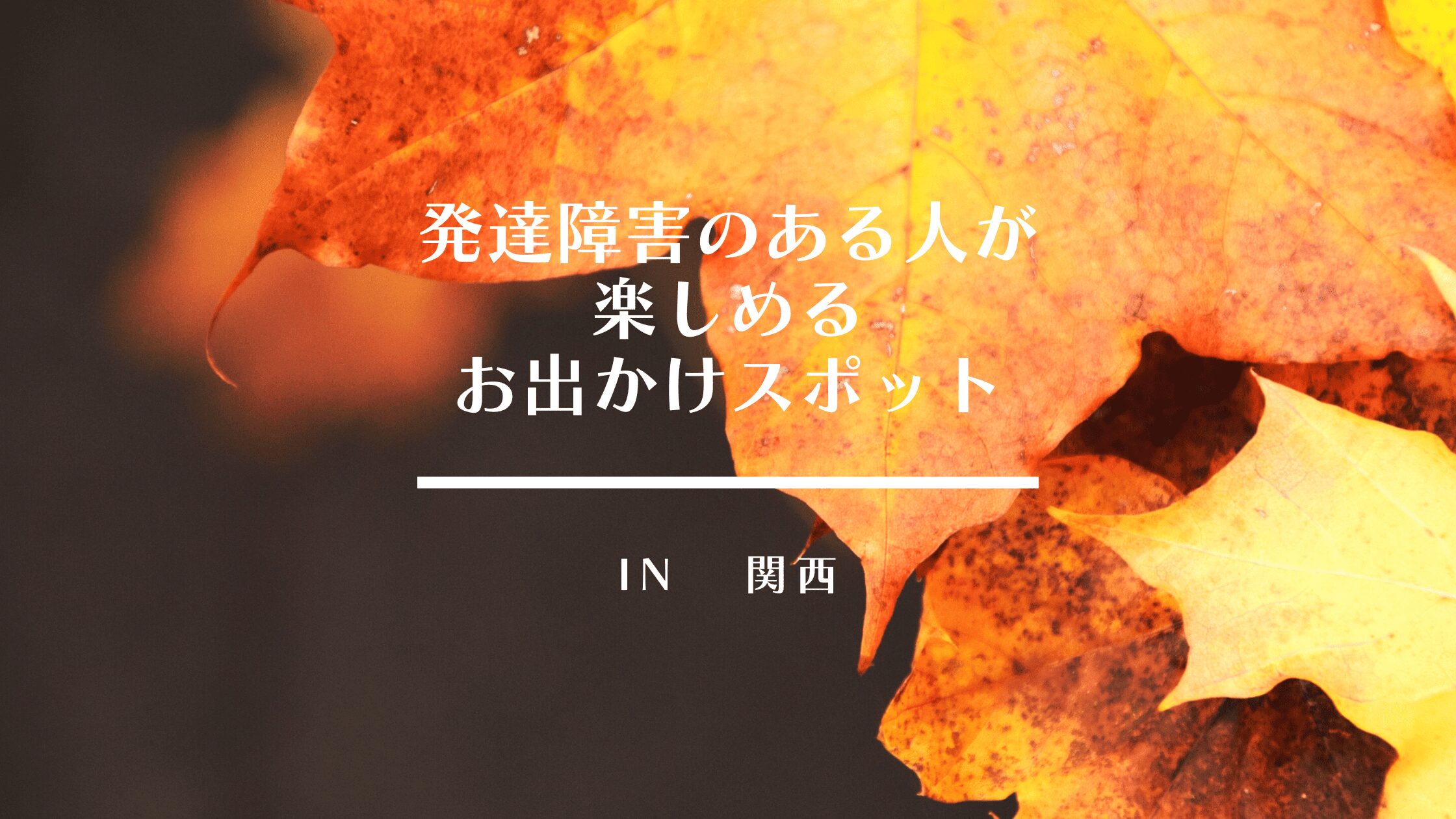 発達障害のある人が楽しめるお出かけスポット 関西版
